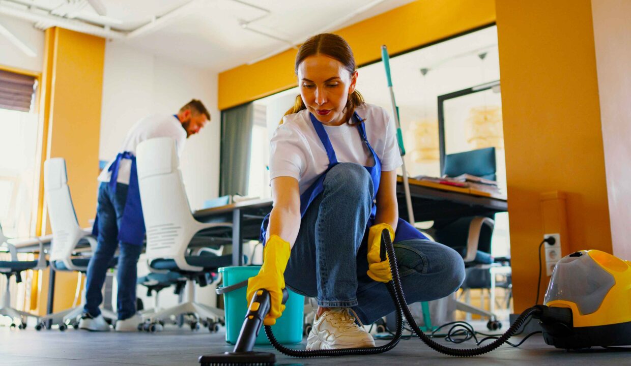 Servicios Integrales de Mantenimiento